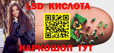 индика Гусь-Хрустальный