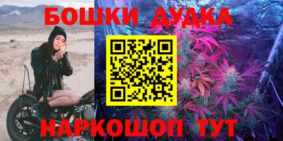 индика Гусь-Хрустальный