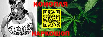 индика Гусь-Хрустальный
