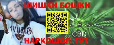 индика Гусь-Хрустальный