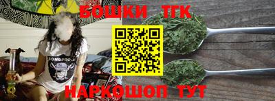 индика Гусь-Хрустальный