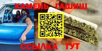 индика Гусь-Хрустальный