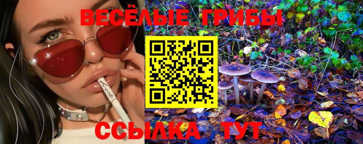 Псилоцибиновые грибы мухоморы  Вход с VPN  Коломна 
