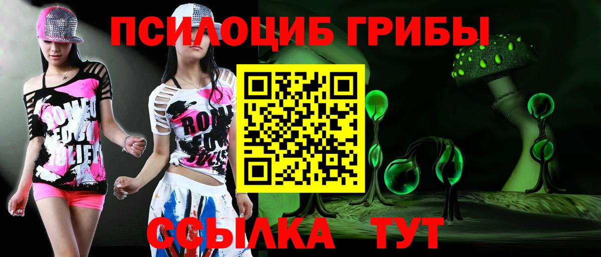 Псилоцибиновые грибы Psilocybe Коломна